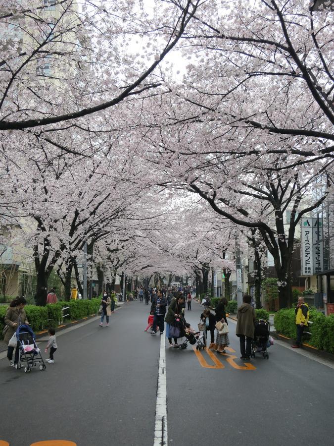 No Borders Hostel Tokyo Exterior photo